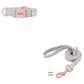 Pet Dog Collar Engraving Anti-Lost Traction Rope Supplies