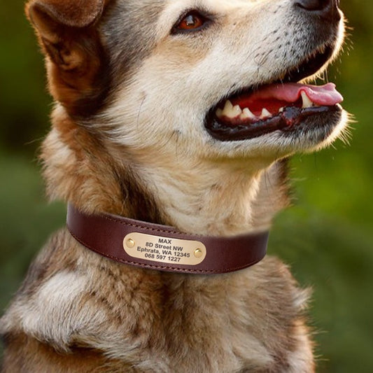 Genuine Leather Cow Leather Engraved Anti Loss Dog Collar