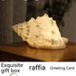 Home Nordic Conch Shell Light