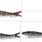 Fishing Lure