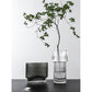 Creative Simple Transparent Glass Vase Water - Raising