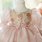 Girls' High-end Dress Piano Playing Dress Girls' Performance Dress