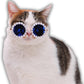 Cat And Dog Pearl Sunglasses - Pet Extravagant Funny Cute Dress Up Costume Accessories For Party