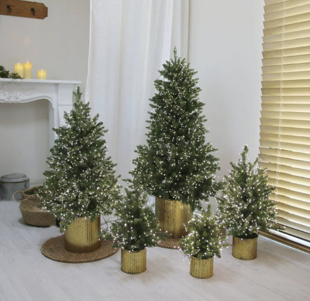 Christmas Tree Encryption Flame