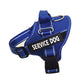 Personalized Copybook Reflective Dog Harness