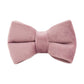Pet Collar Cat Bow Lovely