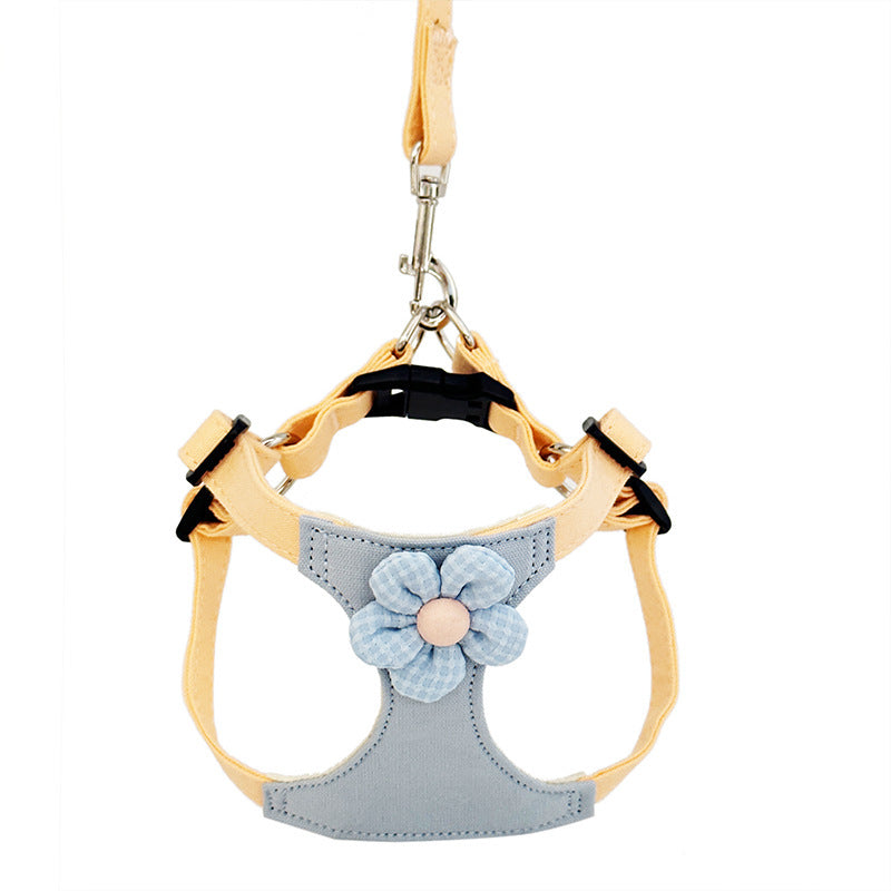 Dog Hand Holding Rope Vest Small Dog