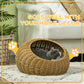 Cat Bed with Washable Cushion for Cats