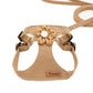 Dog Hand Holding Rope Vest Small Dog