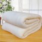 Flannel blanket coral blanket