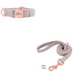 Pet Dog Collar Engraving Anti-Lost Traction Rope Supplies